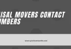 Faisal Movers Contact Number: How to Find It? 2023